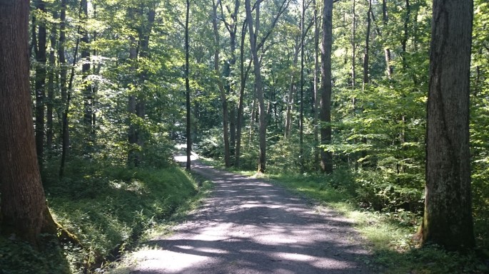 Ohiopyle Pennsylvania Hiking