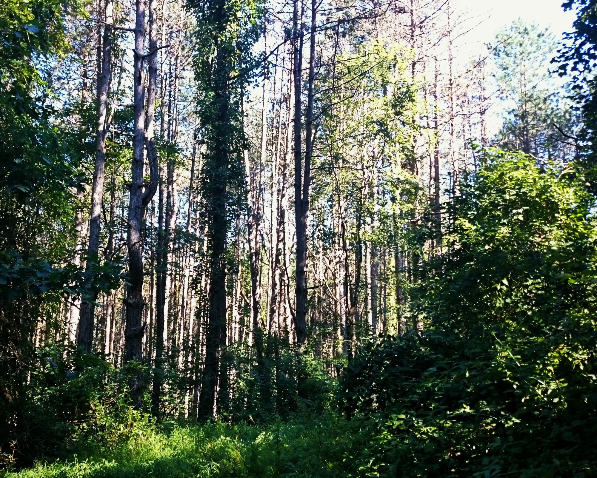 Chatham University Eden Hall Campus