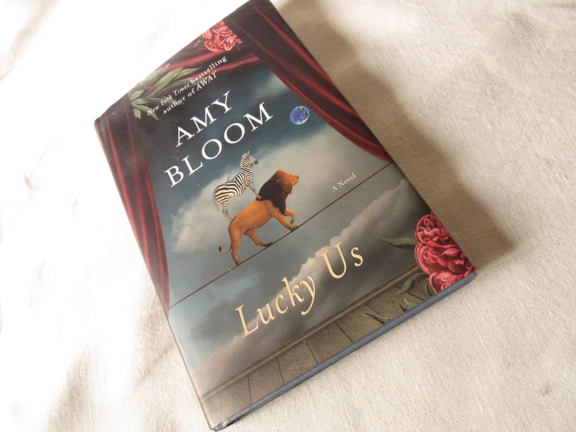 Amy Bloom Book