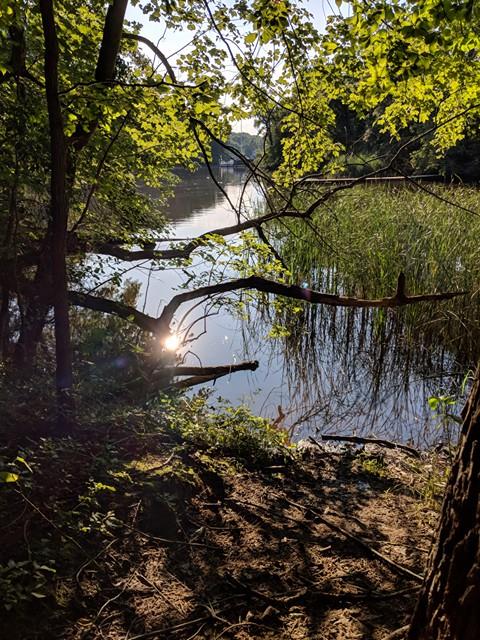 This view is everything